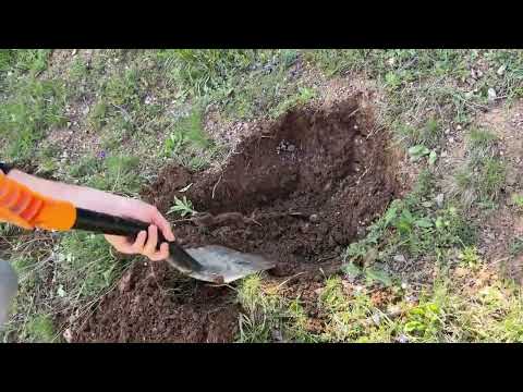 Define Çıkarma Anı Tarihi Hazine Çıkardık !!!!