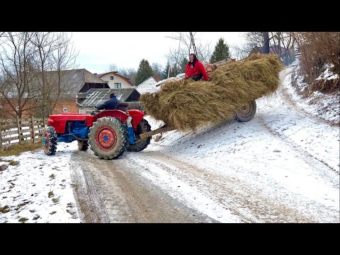 How do people live in the Carpathian Mountains? Romanian