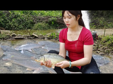 Girl's Daily Life | Fishing with Machines Pump in Rivers