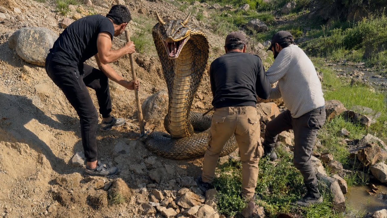 The Biggest Treasure Discovery We've Ever Made