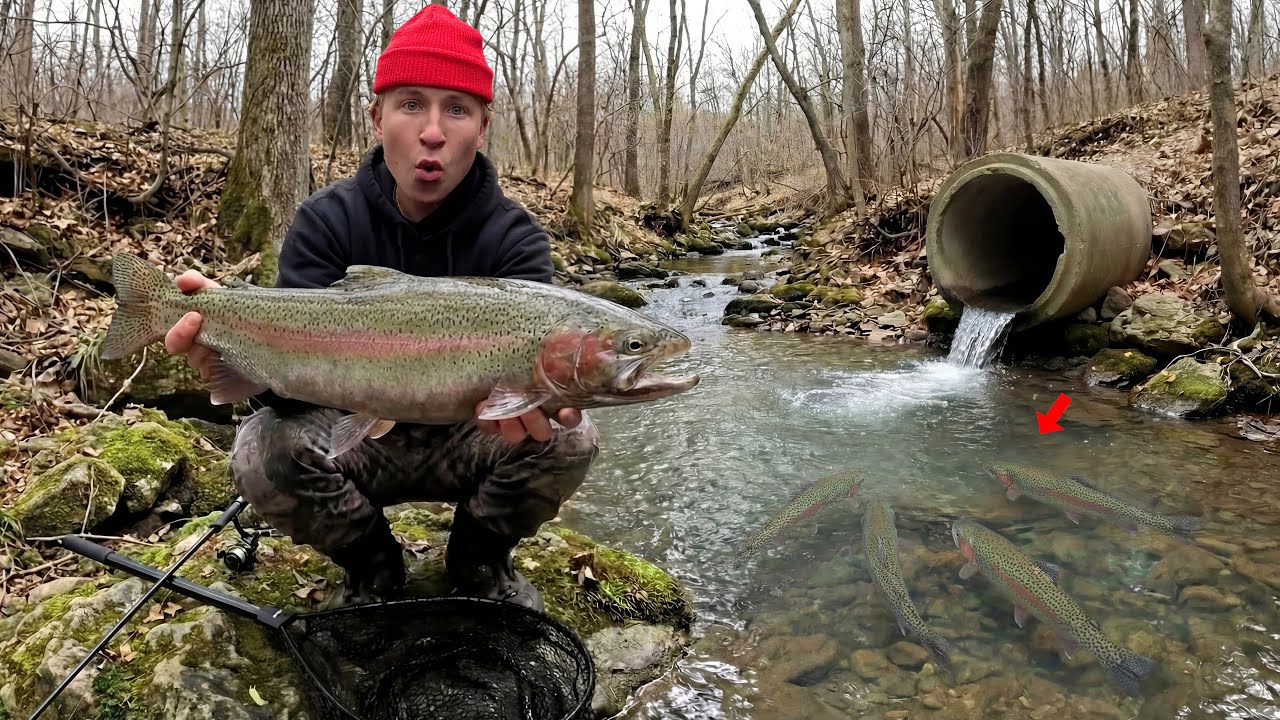 48 Hours Fishing TINY Creeks for Steelhead Trout