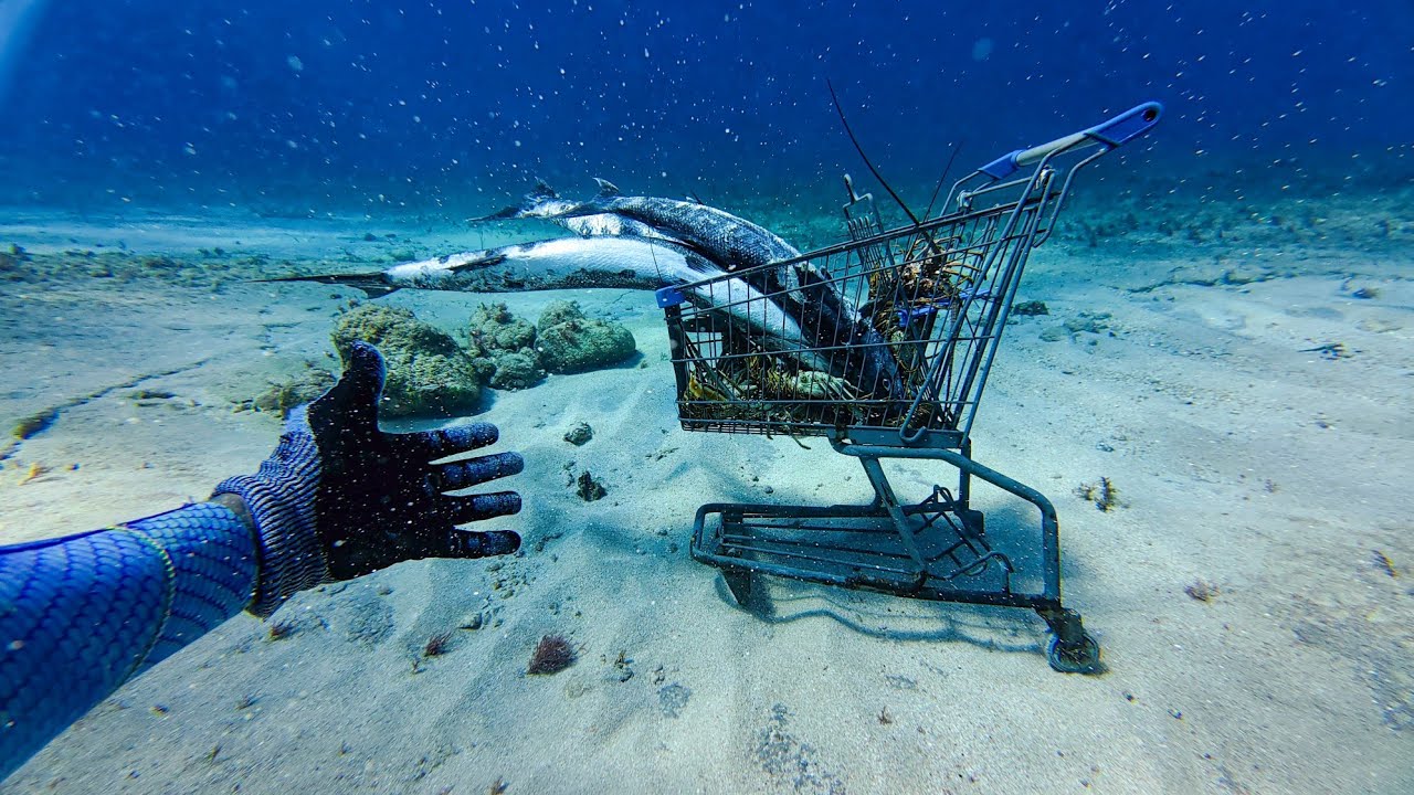I Went Real Life Underwater Grocery Shopping Catch Clean