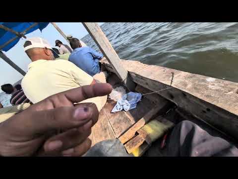 Kemari fishing September 2026
