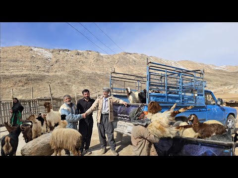 lran nomadic life: Operator's gift to Jahangir and Maryam