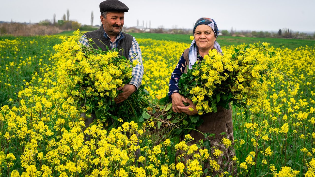 Wild Mustard Greens Foraging, Prep & Cooking