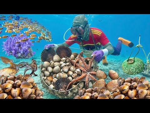 May Mắn Gặp Ổ Hải Sản Thợ Lặn Bắt Không Kịp Tay Trong Ngày