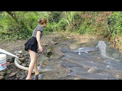 REWIND TIME-LAPSE VIDEO: Fishing Alone on Rivers and Lakes,
