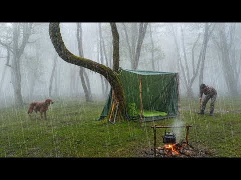 24 Hours Surviving in a Rainstorm Building a Shelter in a