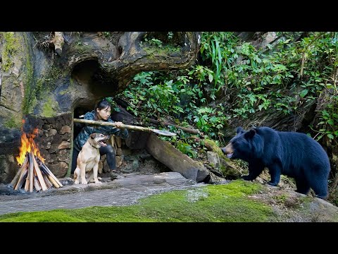 Building a Shelter Under a Tree and a Midnight Black Bear