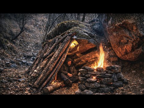 Building a Survival Shelter Alone in the Deep Forest |