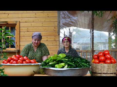 Harvesting Cucumbers and Tomatoes From Our Garden And