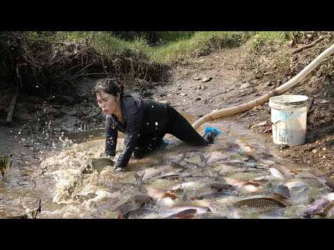 Exciting Fishing, How to Catch Fish in the Wild, Pumps