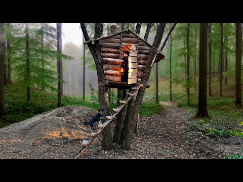 Building the Biggest and Coziest Treehouse Bushcraft