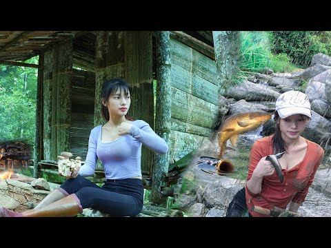 Full-video: 365 days of survival in the erratic rain -