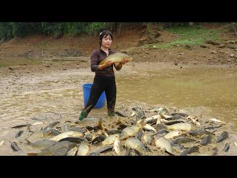 Fishing Techniques, Fishing Skills, Harvesting Big Fish