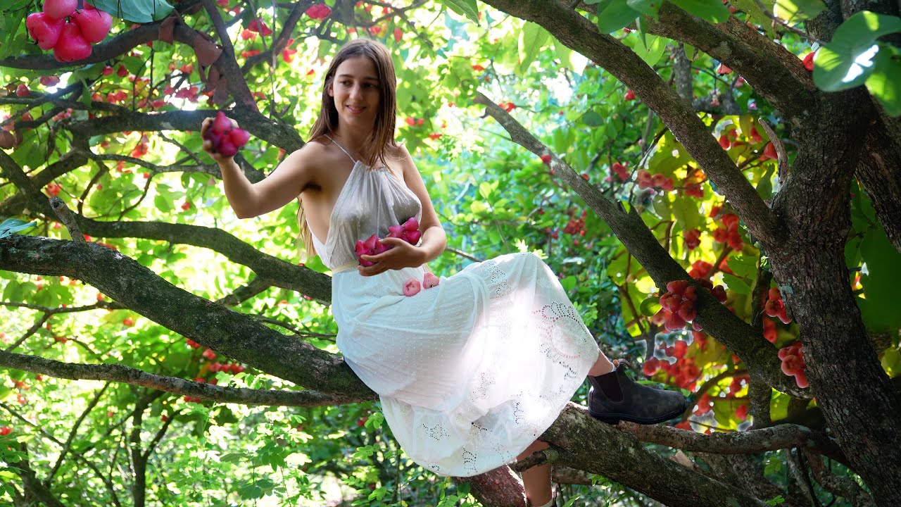 A Thousand Tropical Fruit Trees: Tour of my Abundant Orchard