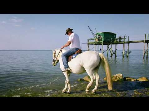 Voyage en France : de l'île de Noirmoutier à