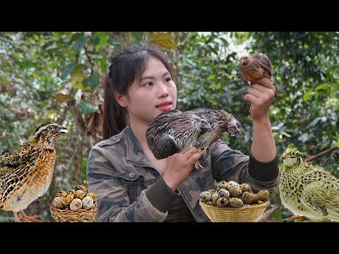 Detecting strange wild birds, trapping skills to catch