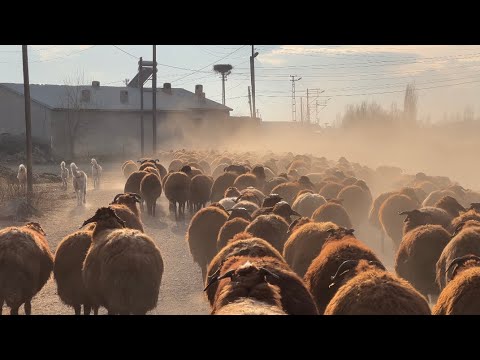SARSILMAZ İLE POZGEWR ATİKLİĞİ—TOZLU YOLLAR