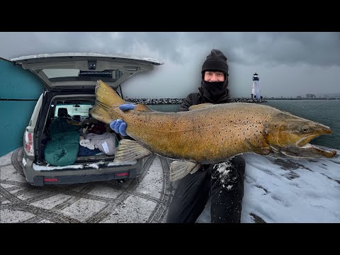 48 Hours Fishing & Car Camping for WORLD CLASS Brown Trout