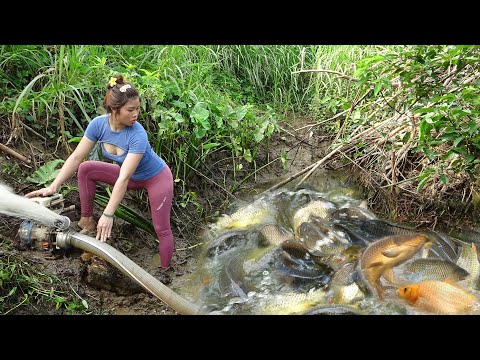 Survival Skills: Fishing Techniques, Wild Fishing Skills