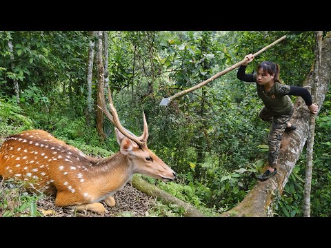 detect wild deer tracks, hide and trap wild deer, survival