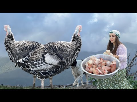Bone Soup a Delicious Traditional Recipe from Nomadic