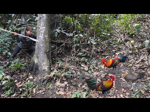 Relocate the shelter, and discover traces of wild jungle