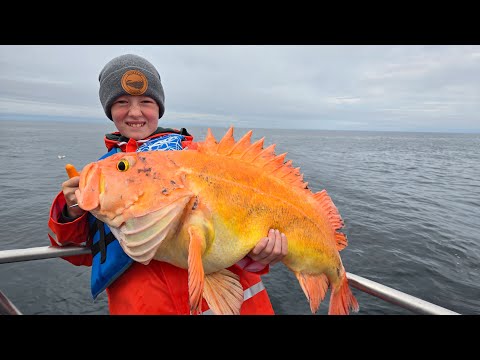 1 Week Fishing, Camping, & Hiking Adventure ( I Flew a