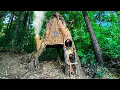 Building a Warm and Cozy Wilderness Survival Wooden