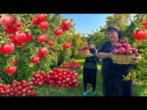 Grandma's | 136 Minute Video Full of Extraordinary Recipes