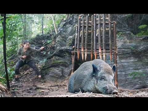Surviving the cold winter, wild boar trapping skills,