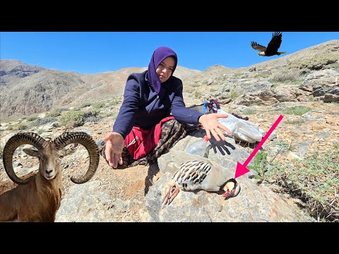 Eagle's sudden attack: From picking plants to watching