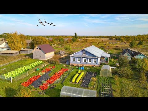 One Day in Life of the village Family in Russia. Autumn In