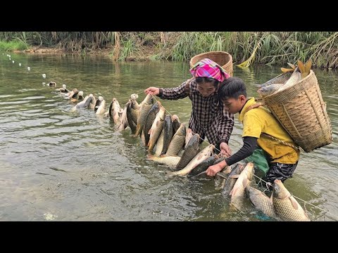 How to set traps for large carp, traditional fishing