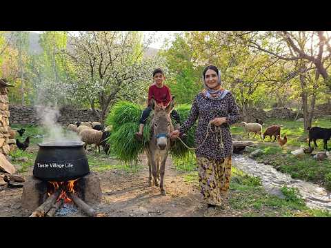 Village Lifestyle Iran: Amazing Cooking & Donkey Riding By