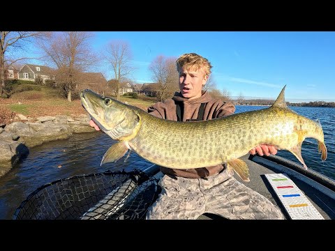 2 Days MUSKY Fishing with BIG Live Baits