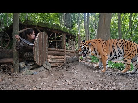 build, shelter, wooden, emergency, wilderness survival,