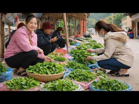 200 Days Harvesting Forest Vegetables to Sell at Market