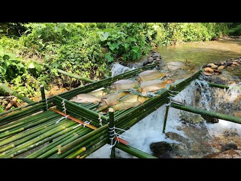 Lam's use of ancient fishing trap techniques helped him