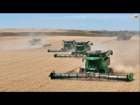 5 John Deere S7 700 Combines Harvesting Wheat in North