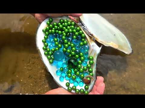 A lucky girl dug a strange mutated river clam and gasped at