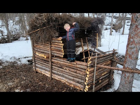 8 Days Camping & Building a Bushcraft Survival Shelter with