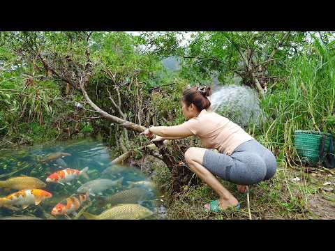 Fishing Techniques: Harvesting Wild Fish Using Water Pumps,