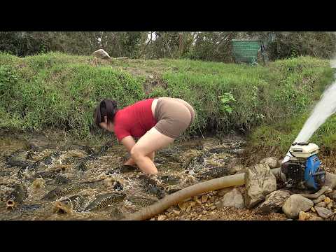 Fishing Video: Amazing Catch in The Shallow Wild Lake