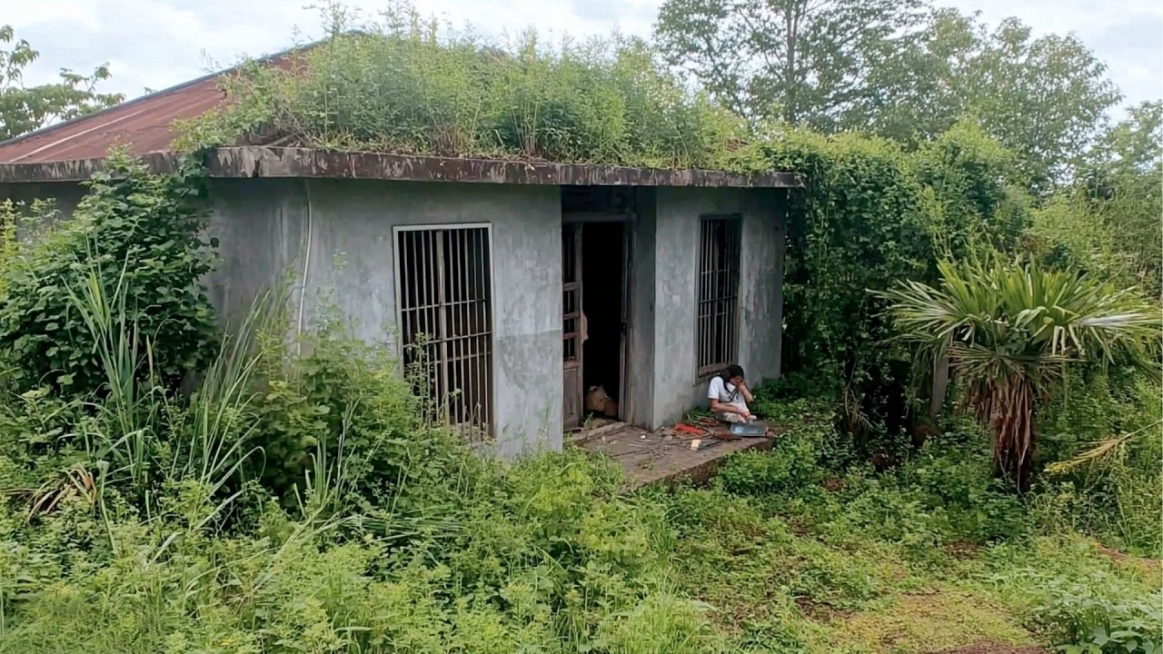 Volunteers Transform Old Lady’s Overgrown House for Free