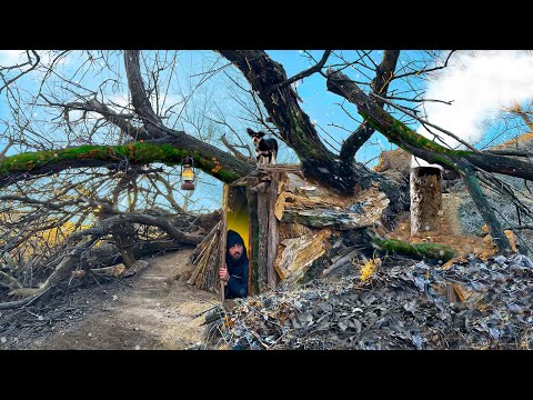 Building a secret shelter under an incredibly huge fallen
