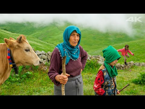 Küçük Misafirlerin Yayla Macerası Belgesel Film