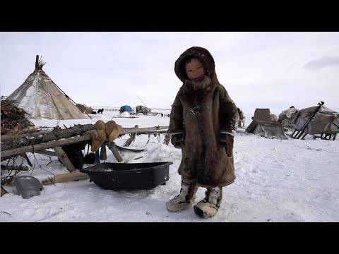 Children of TUNDRA. Winter Everyday life of nomads. North
