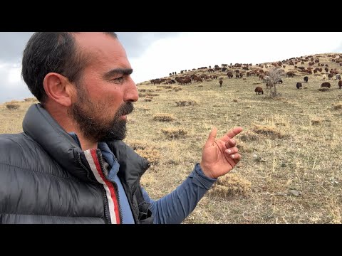 SONBAHAR GÖÇ YOLCULUĞU BENİM İÇİN SONA ERDİ ( TUTUKLANDIM )